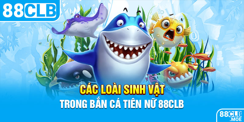 Các loài sinh vật trong bắn cá Tiên nữ 88CLB