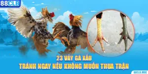 23 Vảy Gà Xấu – Tránh Ngay Nếu Không Muốn Thua Trận