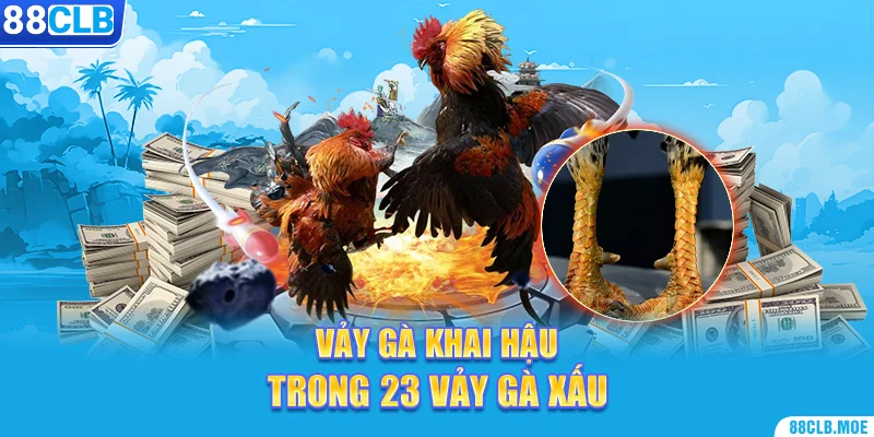 Vảy gà khai hậu trong 23 vảy gà xấu